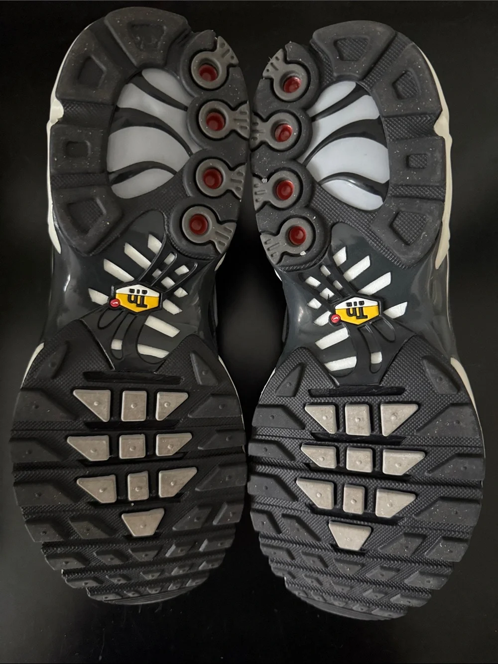 Nike Air Max Plus SE 'Iron Grey'
